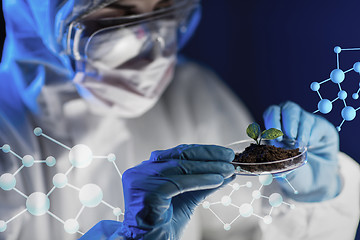 Image showing close up of scientist with plant and soil in lab