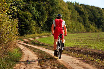 Image showing Rider on Mountain Bicycle it the forest