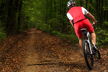Image showing Bicyclist with His Bicycle in the Summer Forest