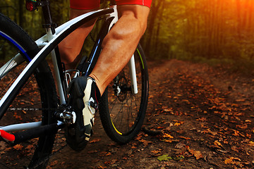 Image showing Closeup Bicyclist with His Bicycle in the Summer Forest