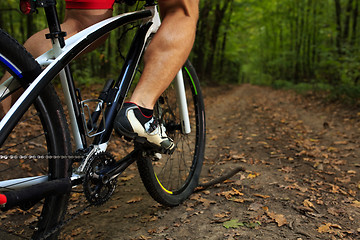 Image showing Closeup Bicyclist with His Bicycle in the Summer Forest