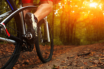 Image showing Closeup Bicyclist with His Bicycle in the Summer Forest