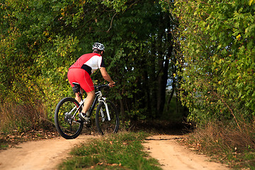 Image showing Man is cycling in autumn forest