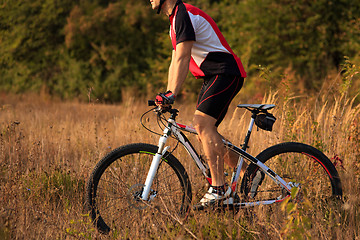 Image showing Man Cyclist Riding on bicycle in the Summer Forest