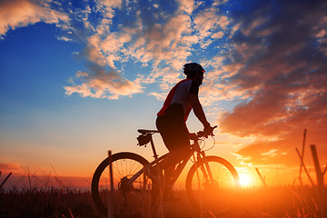 Image showing Rider in action at Freestyle Mountain Bike Session