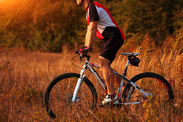 Image showing Man Cyclist Riding on bicycle in the Summer Forest