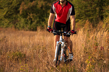 Image showing Man Cyclist Riding on bicycle in the Summer Forest