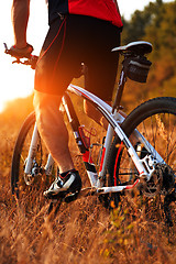 Image showing Cyclist on the Meadow Trail at tne Evening