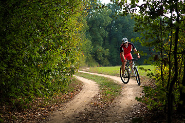 Image showing Cyclist riding mountain bike on trail at evening.