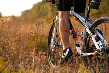 Image showing Cyclist on the Meadow Trail at tne Evening