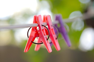 Image showing Clothes Pegs Outdoors