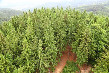 Image showing Forest Landscape in the Hills