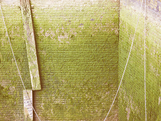 Image showing  Green moss vintage