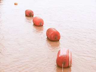 Image showing  Life buoy in water vintage