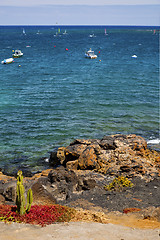 Image showing surf cactus coastline lanzarote  in spain musk 