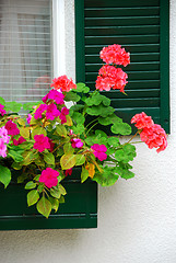 Image showing House flower box