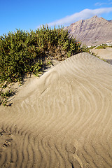 Image showing  village  yellow dune beach  hil and mountain in the   lanzarote