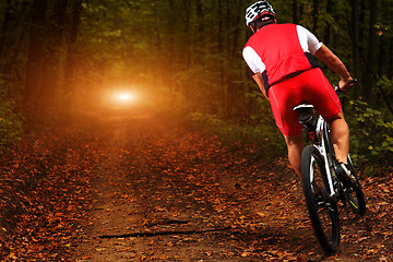 Image showing Rider in action at Freestyle Mountain Bike Session