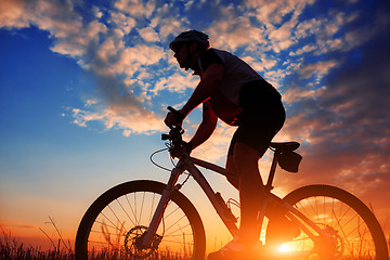 Image showing Rider in action at Freestyle Mountain Bike Session