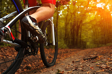 Image showing Rider in action at Freestyle Mountain Bike Session