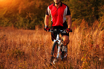 Image showing Cyclist on the Meadow Trail at tne Evening