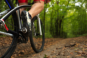 Image showing Man Cyclist Riding on bicycle in the Summer Forest