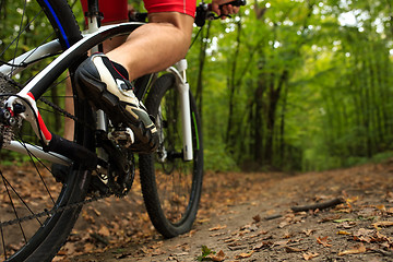 Image showing Closeup Bicyclist with His Bicycle in the Summer Forest