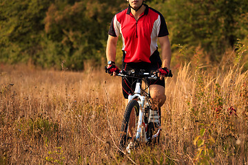 Image showing Man Cyclist Riding on bicycle in the Summer Forest