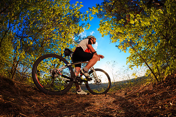 Image showing Man Cyclist with bike on sunset