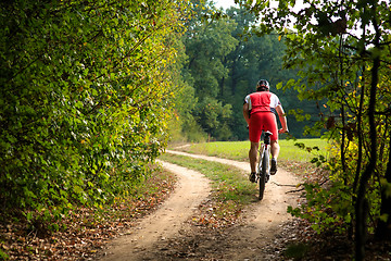 Image showing Rider on Mountain Bicycle it the forest