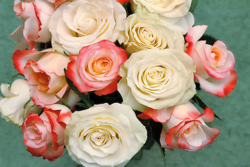 Image showing A bouquet of roses on light green background.