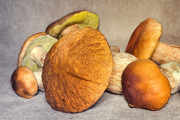 Image showing Some large edible mushrooms.