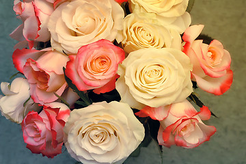 Image showing A bouquet of roses on light green background.