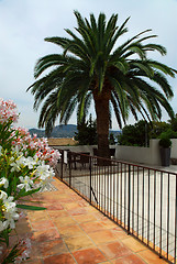 Image showing Courtyard of a villa