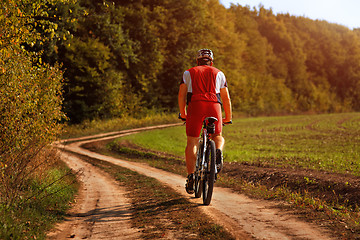 Image showing Rider on Mountain Bicycle it the forest