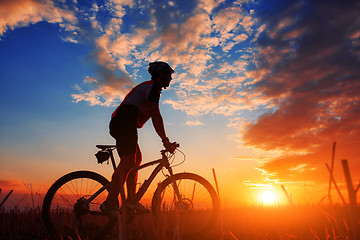 Image showing Rider in action at Freestyle Mountain Bike Session