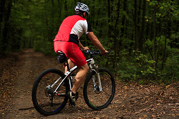 Image showing Bicyclist with His Bicycle in the Summer Forest