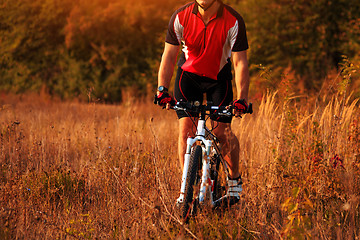 Image showing Man Cyclist Riding on bicycle in the Summer Forest