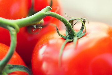 Image showing close up of ripe juicy red tomatoes