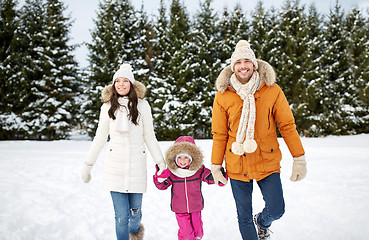 Image showing happy family in winter clothes walking outdoors