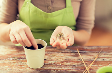 Image showing close up of woman sowing seeds to soil in pot