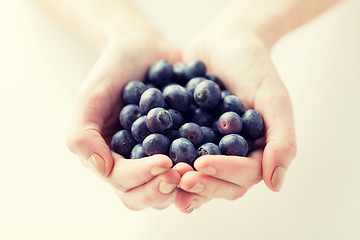 Image showing close up of woman hands holding blueberries