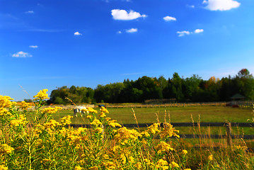 Image showing Rural landscape