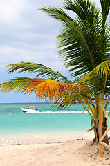 Image showing Tropical beach