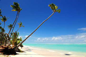 Image showing Tropical beach