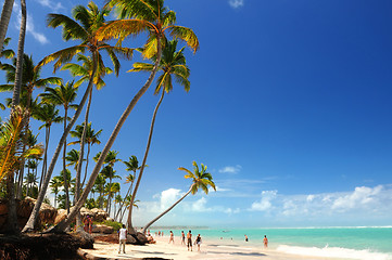 Image showing Tropical beach