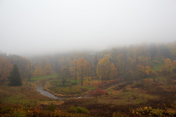 Image showing The fog is coming on forest.