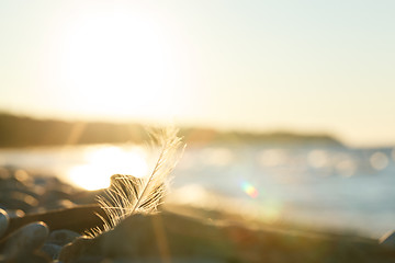 Image showing Nature scene at sunset