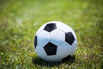 Image showing Traditional soccer ball on the lawn