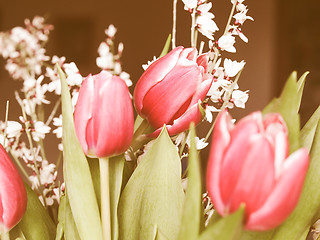 Image showing Retro looking Tulip picture